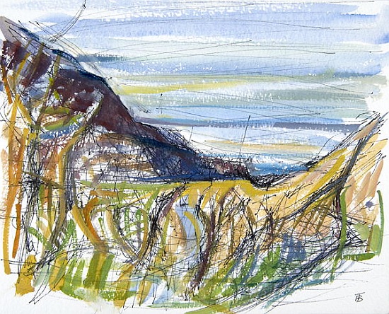Towards Marsland Mouth, North Devon (pen and ink and and on paper) a Erin  Townsend