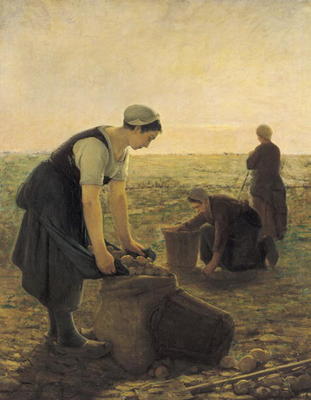 The Potato Harvest (oil on canvas) a Ernest Masson