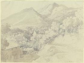 Ansicht von Massa di Carrara