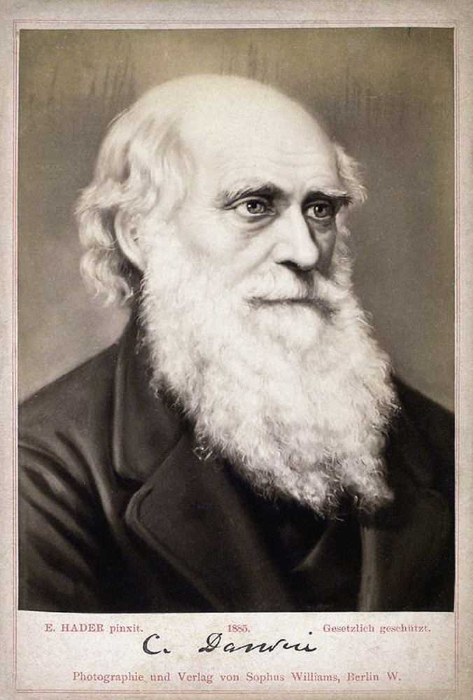 Portrait of Charles Darwin (1809-1882) a Ernst Hader
