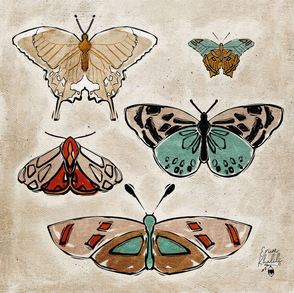 Vintage Butterflies Erum Khalili.png a Erum Khalili