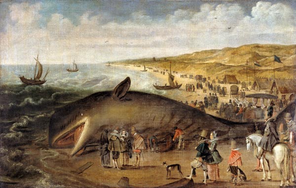 The Whale beached between Scheveningen and Katwijk a Esaias II van de Velde