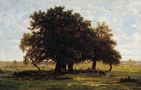 Holm Oaks, Apremont