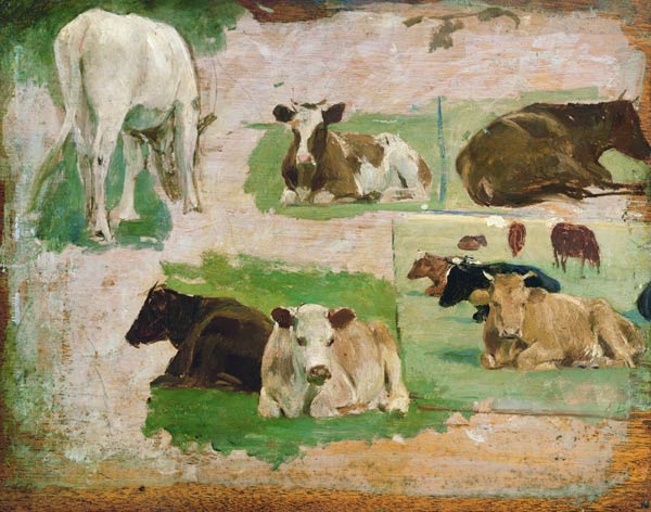 Study of Cows a Eugène Boudin
