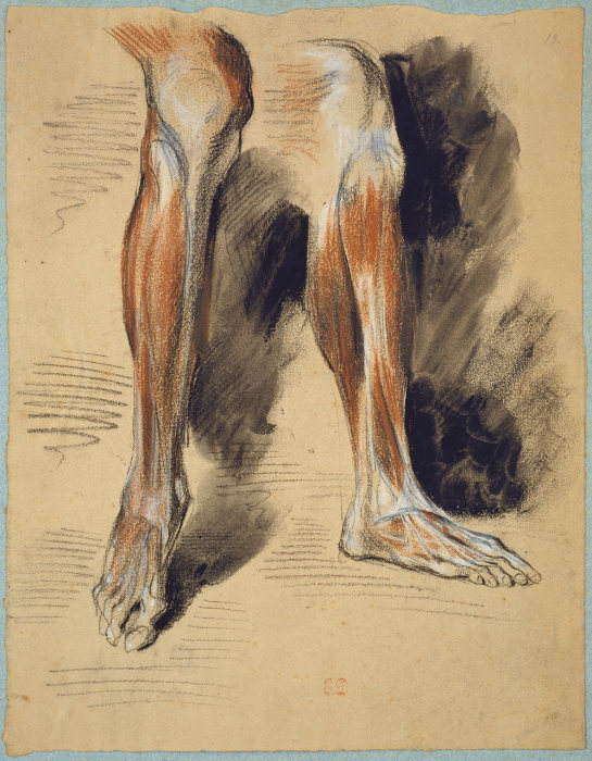 Studies of a right Leg a Eugène Delacroix