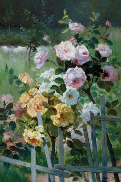 Roses at the garden fence a Eugene Henri Cauchois