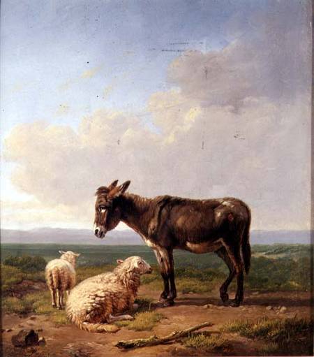Ass and Sheep a Eugène Joseph Verboeckhoven
