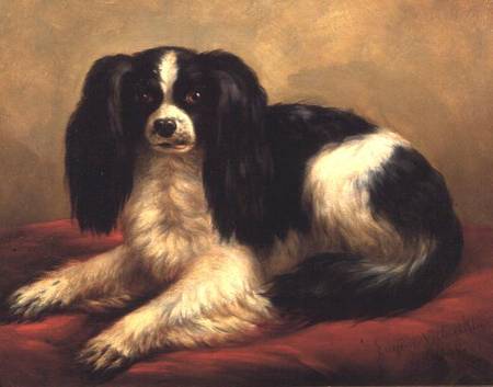 A King Charles Spaniel Seated on a Red Cushion a Eugène Joseph Verboeckhoven