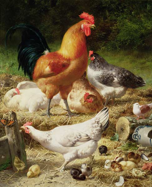 Chickens a Eugène Remy Maes