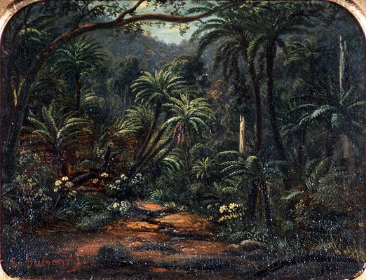 Ferntree Gully in the Dandenong Ranges, 1857 (oil on canvas on cedar panel) a Eugene von Guerard