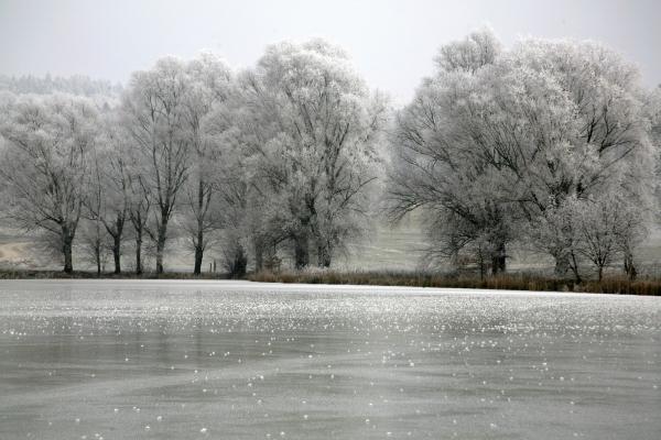 Wintersee a Evelyn Taubert