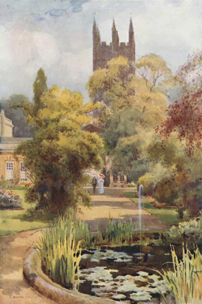 Botanic Gardens and Magdalen Tower a E.W. Haslehust