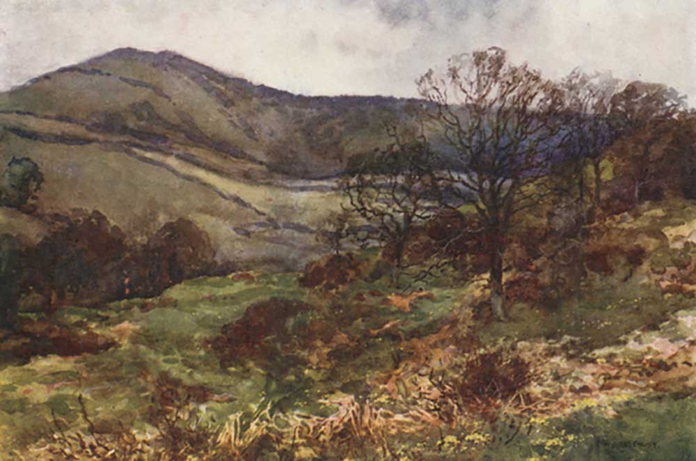 Shanklin Down, Early Spring a E.W. Haslehust