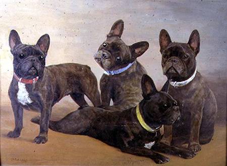 Four French Bulldogs (panel) a F. Mabel Hollams
