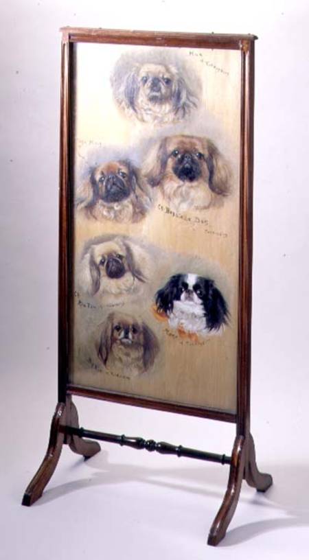 Head studies of Pekinese dogs, mounted as a fire screen a F. Mabel Hollams