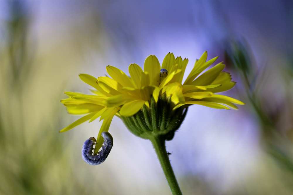 Hide & Seek a Fabien Bravin