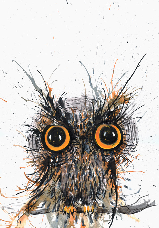 Wide eyed Owl a Faisal Khouja