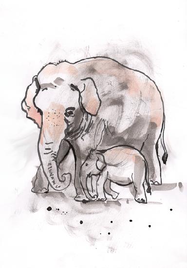 Elephant and Calf