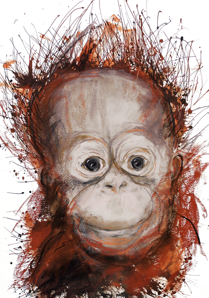 Orangutan a Faisal Khouja