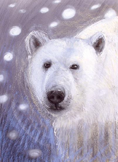 Polar Bear