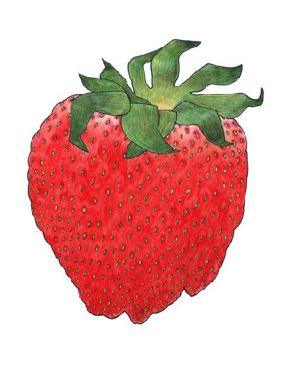 Strawberry 4