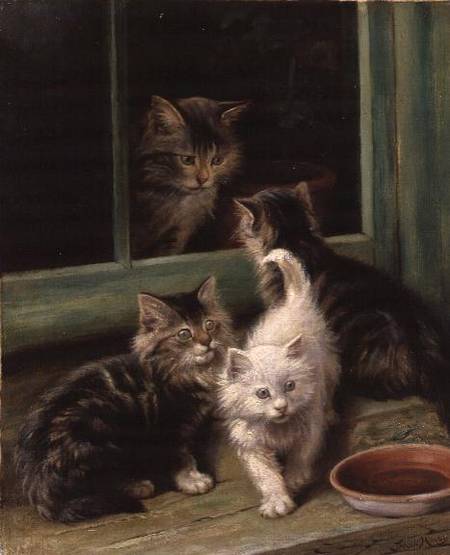 Kittens a Fannie Moody