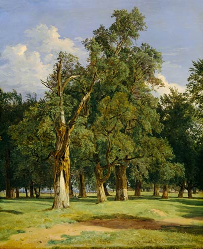 Elm trees in Prater a Ferdinand Georg Waldmüller