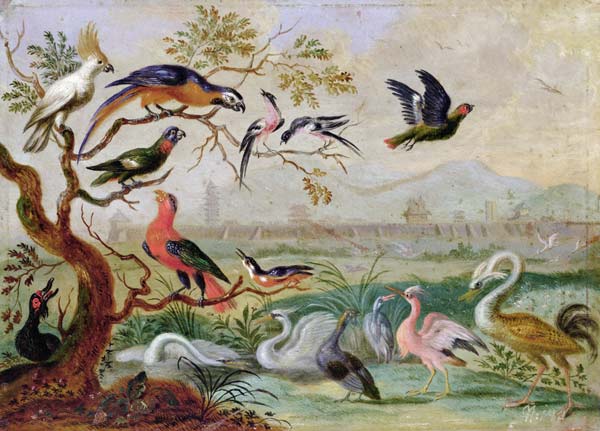 Birds from the Four continents in a landscape with a view of Peking in the background a Ferdinand van Kessel