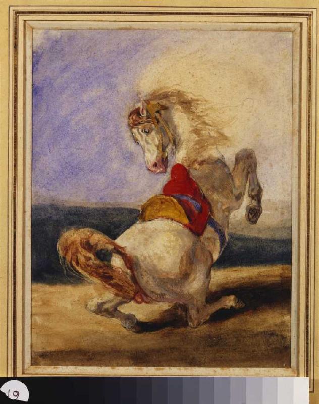 Aufbäumendes Pferd. a Ferdinand Victor Eugène Delacroix