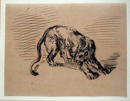 Tiger Frightened by a Snake a Ferdinand Victor Eugène Delacroix
