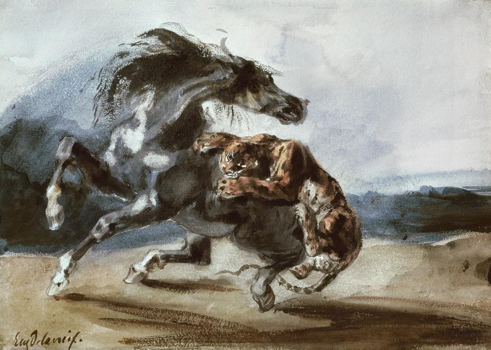 Tiger Attacking a Wild Horse a Ferdinand Victor Eugène Delacroix