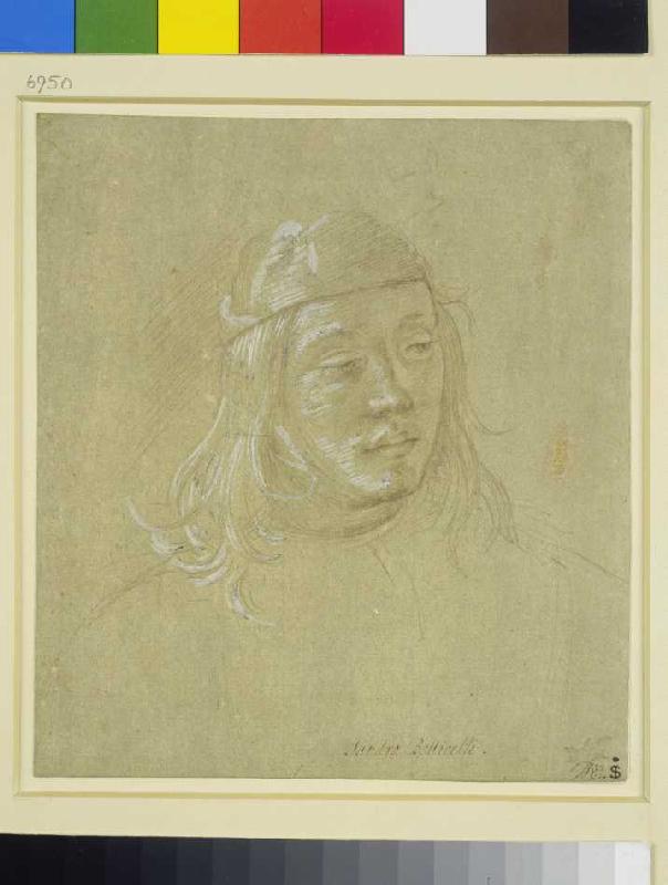 Bildnisstudie eines jungen Mannes. a Filippino Lippi