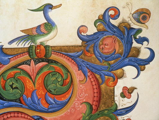 Missal 515 f.92v Zoomorphic foliage with duck-like bird and butterfly, detail of decoration surround a Filippo di Matteo Torelli