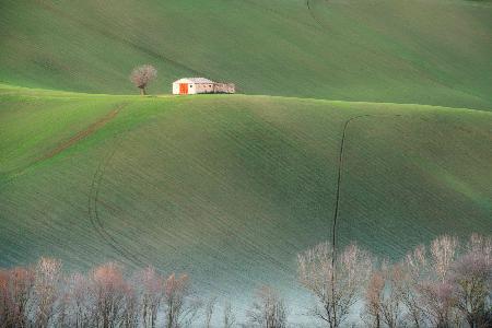 The cottage in the fields