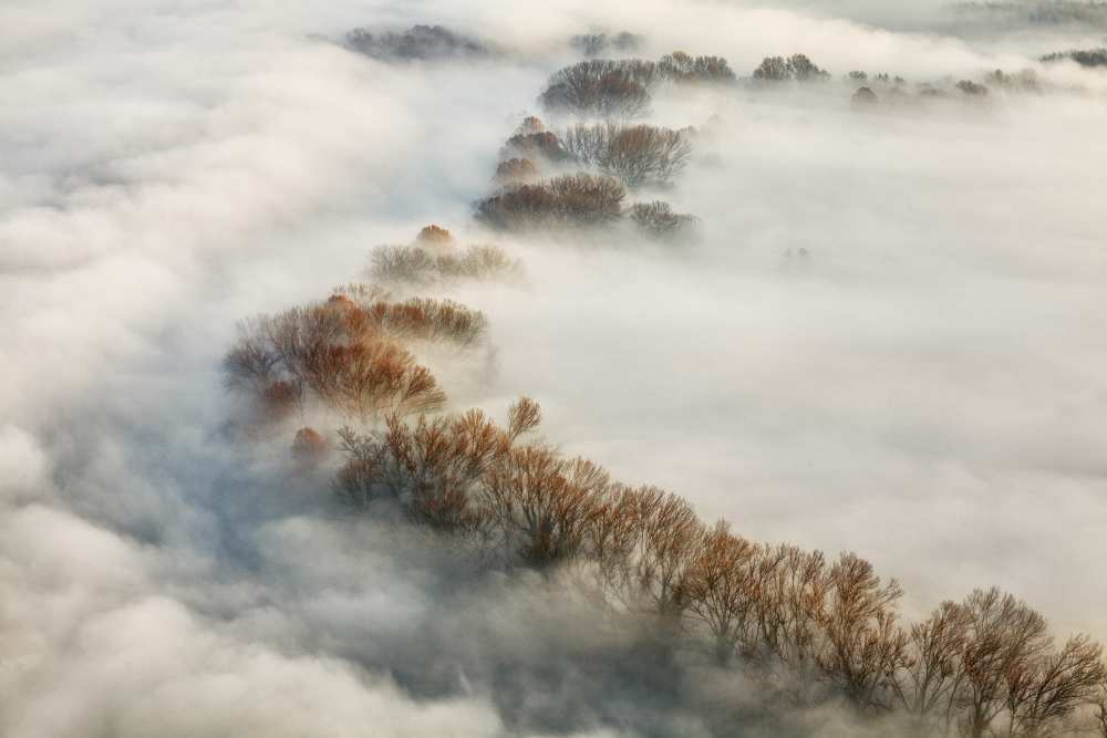 Foggy valley a Fiorenzo Carozzi
