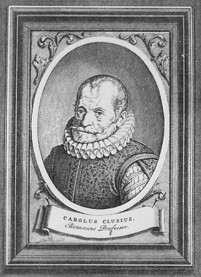 Carolus Clusius a Scuola Fiamminga