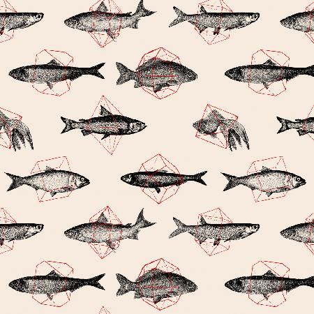 Fish In Geometrics Nº1