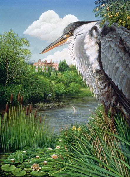 Herons at Chilham a Frances Broomfield