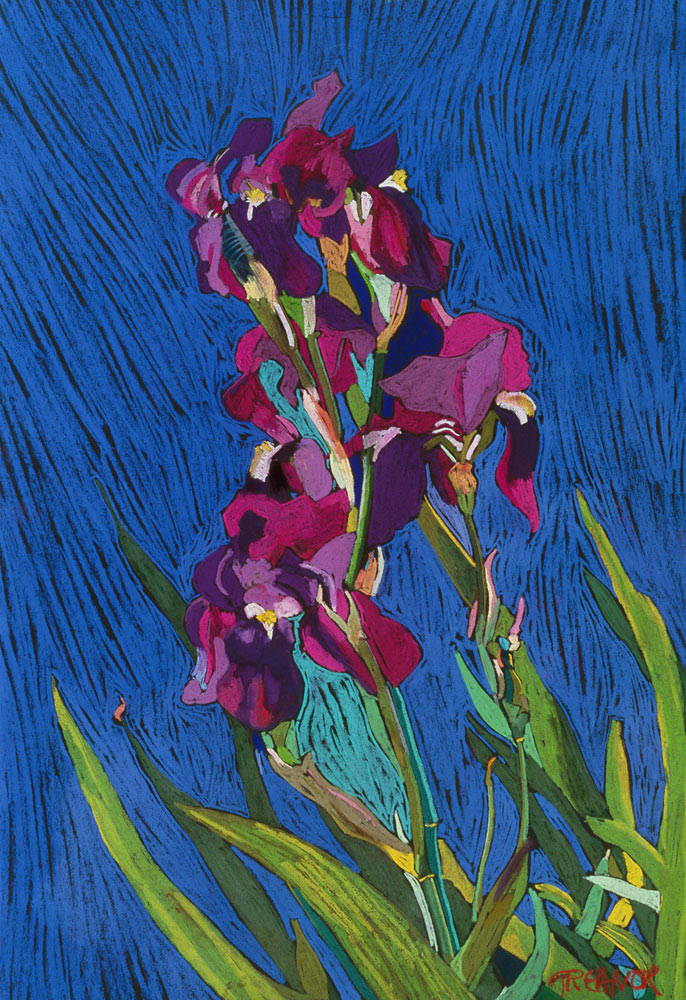 Irises a  Frances  Treanor