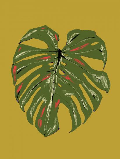 Monstera Leaf Green