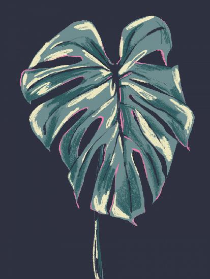 Monstera Deliciosa Dark