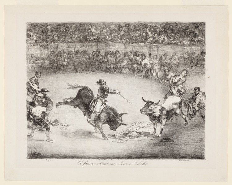 The famous American, Mariano Ceballos
The Bulls of Bordeaux a Francisco de Goya