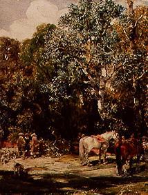 A hold in the timber forest. a Francisco Domingo Marqués
