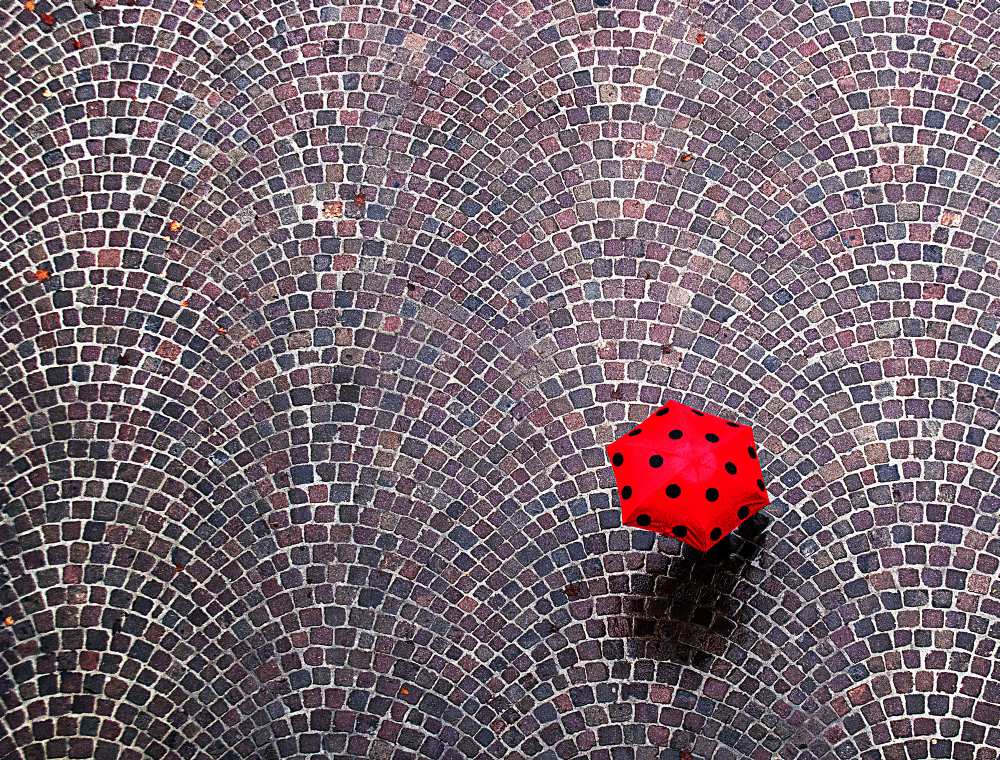 urban ladybug a Franco Maffei