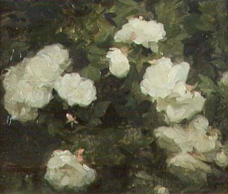 White Roses a Frank Bramley