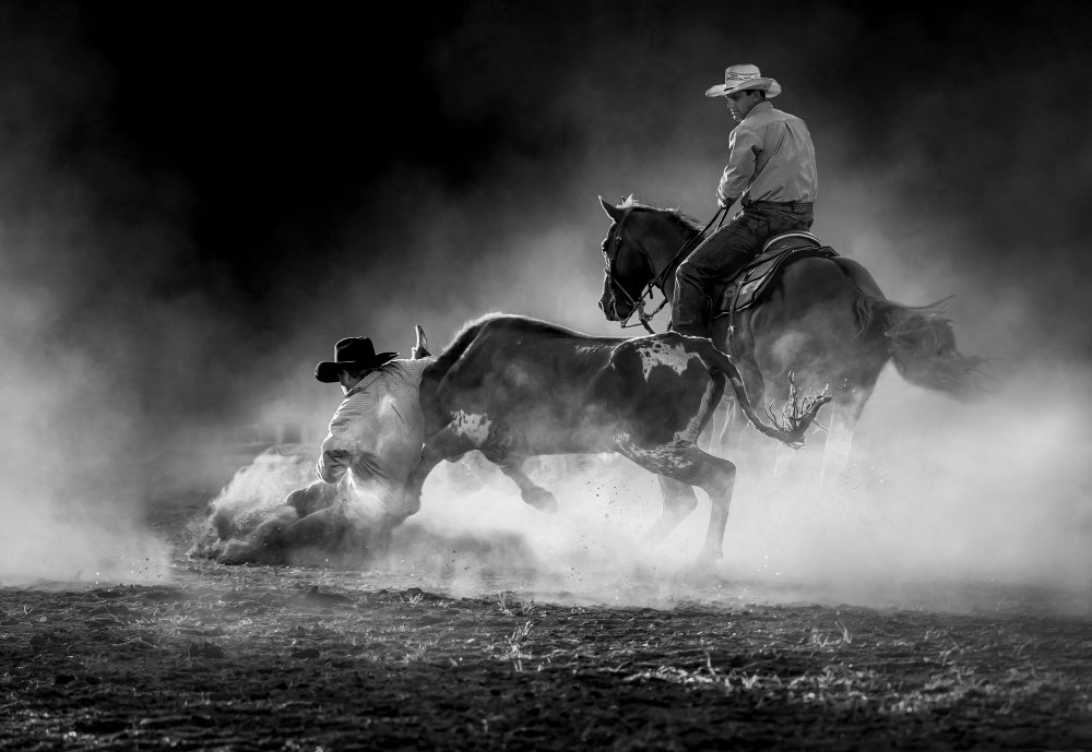 Steer Wrestling in the Light a Frank Ma