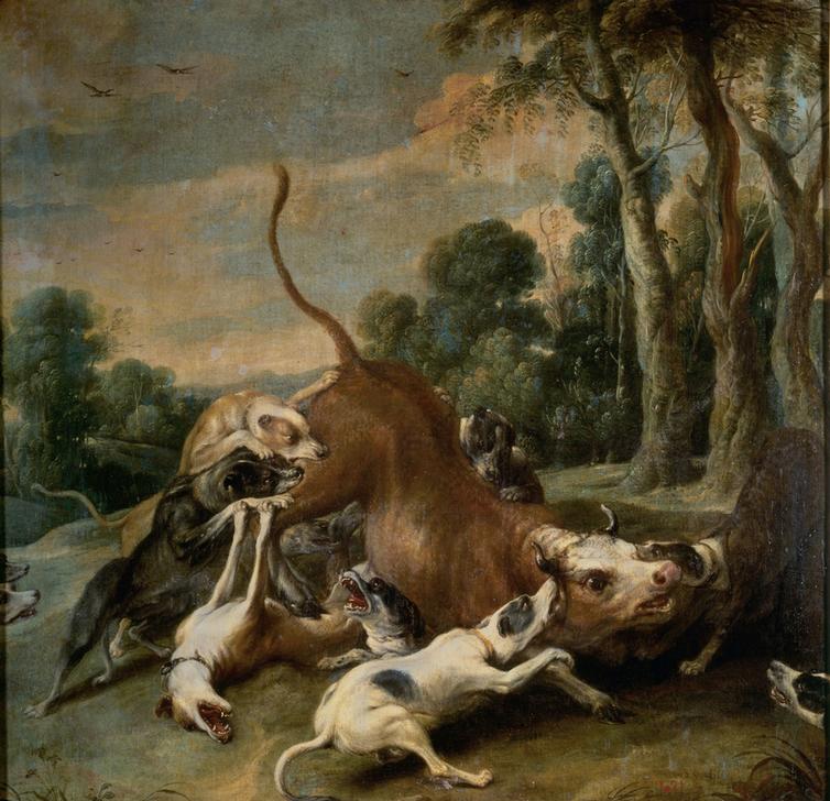 Bull Surrendered by Dogs a Frans Snyders