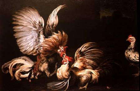 Fighting Cocks a Frans Snyders