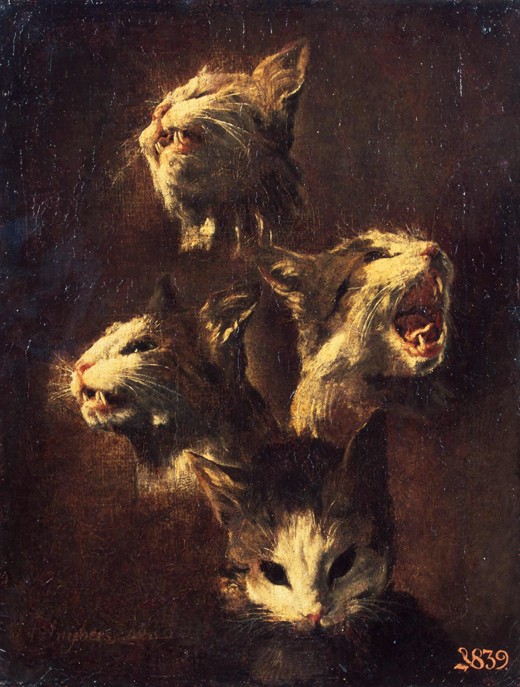 Studies of cats' heads a Frans Snyders