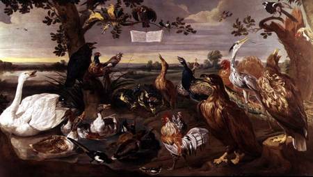 Various Birds a Frans Snyders